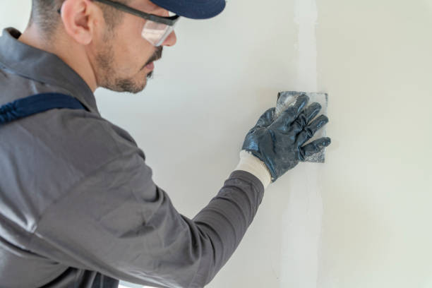 Best Environmental Consulting for Mold Prevention  in Central Park, WA