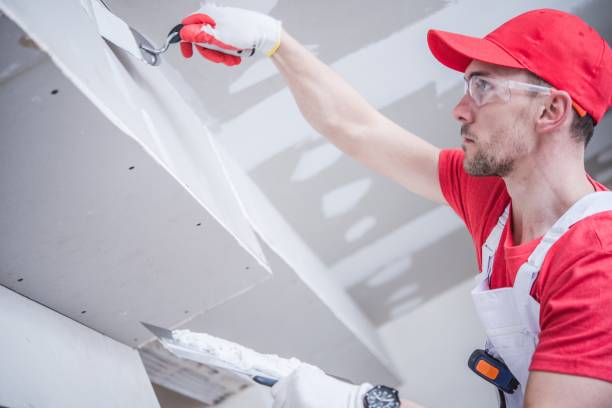 Best Mold Odor Removal Services  in Central Park, WA