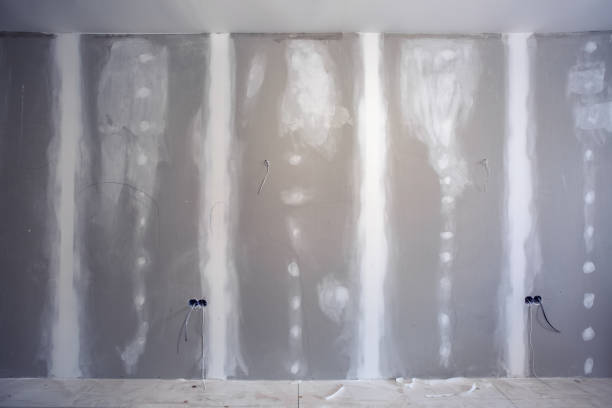 Best Industrial Mold Remediation  in Central Park, WA